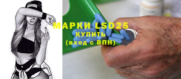 ПСИЛОЦИБИНОВЫЕ ГРИБЫ Арсеньев