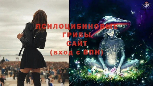 MDMA Аркадак