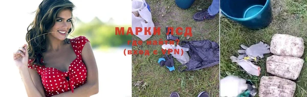 ПСИЛОЦИБИНОВЫЕ ГРИБЫ Арсеньев