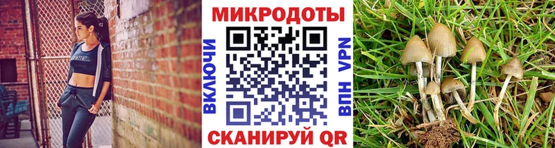 купить   Усинск  Псилоцибиновые грибы Cubensis 